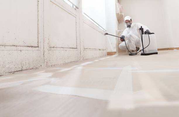 24/7 Emergency Crawl Space Mold Remediation experts in Lakeside, VA