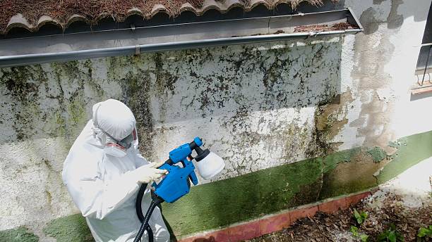 Top rated local Crawl Space Mold Remediation specialists in Lakeside, VA